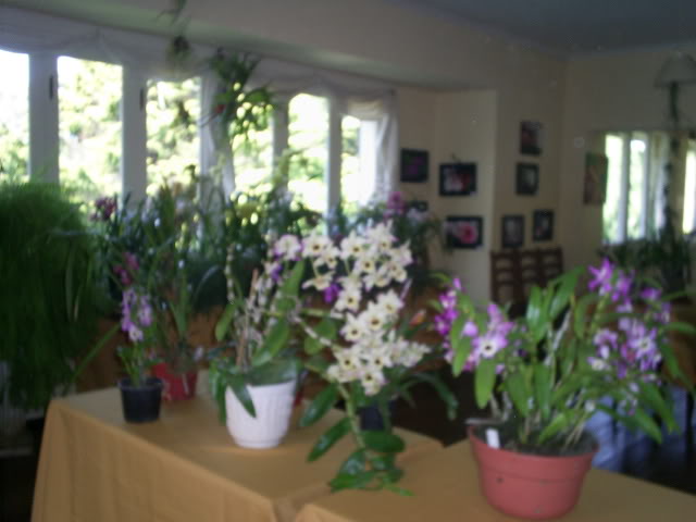 S5025211.jpg