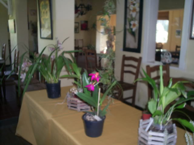 S5025212.jpg