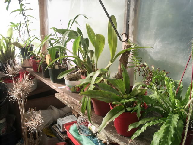 S5026082.jpg