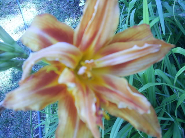 S5026149.jpg