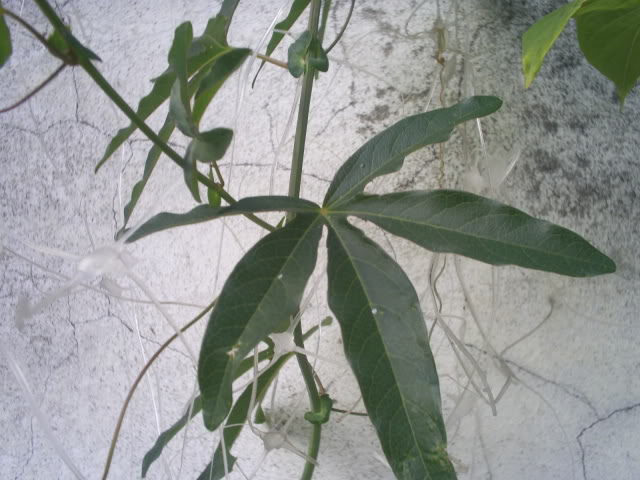 S5026622.jpg