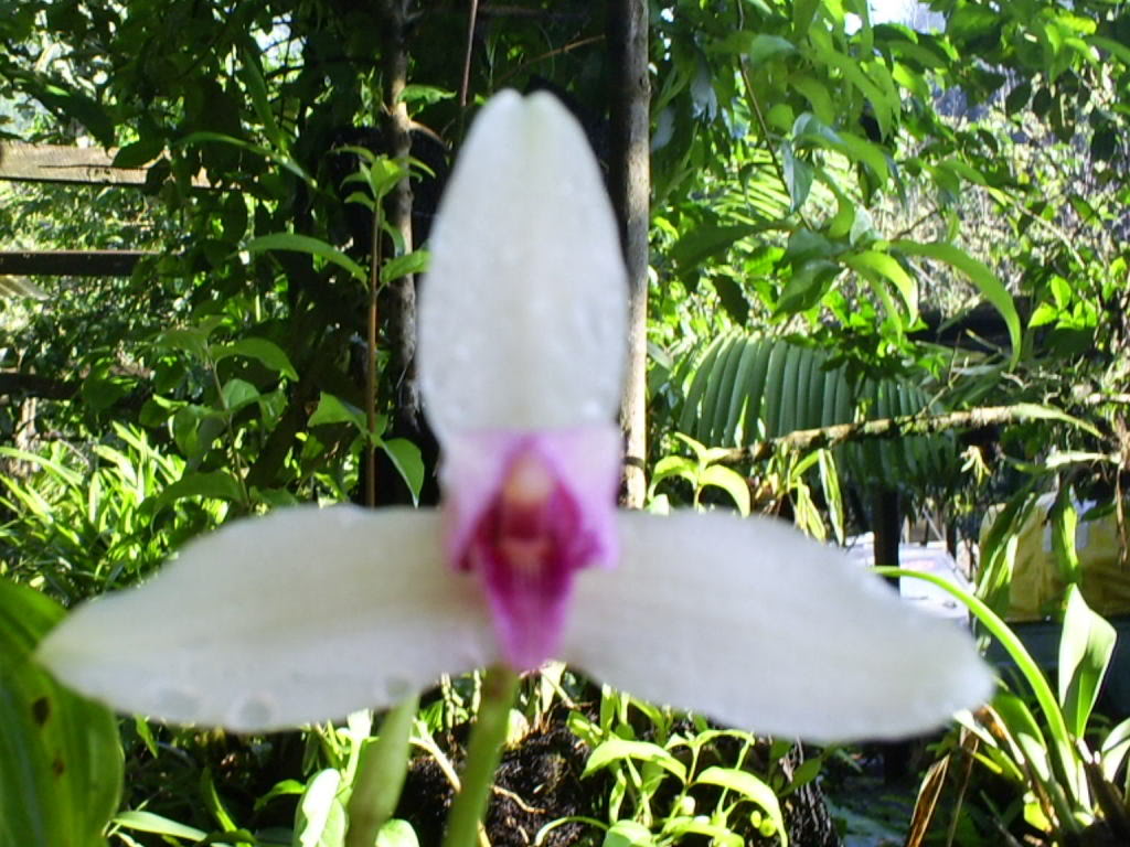 S5030783.jpg