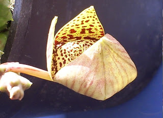 S5032998.JPG