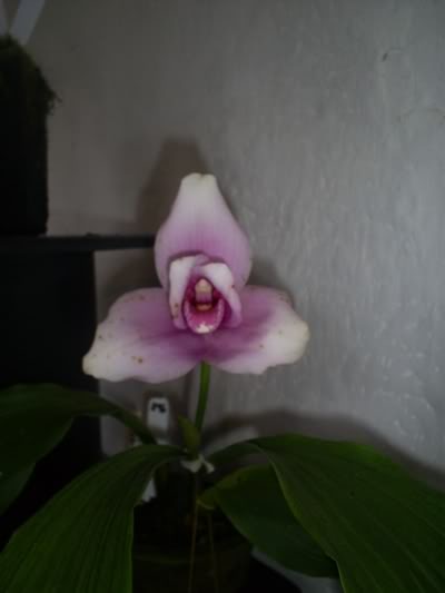 S5033339.jpg