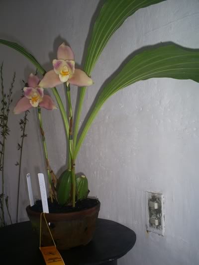S5033380.jpg