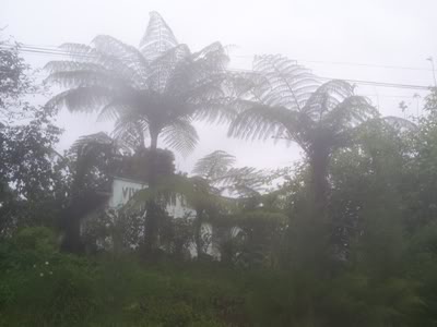 S5033790.jpg