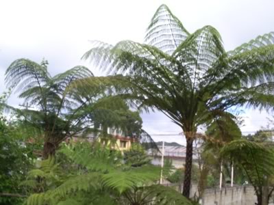 S5033845.jpg