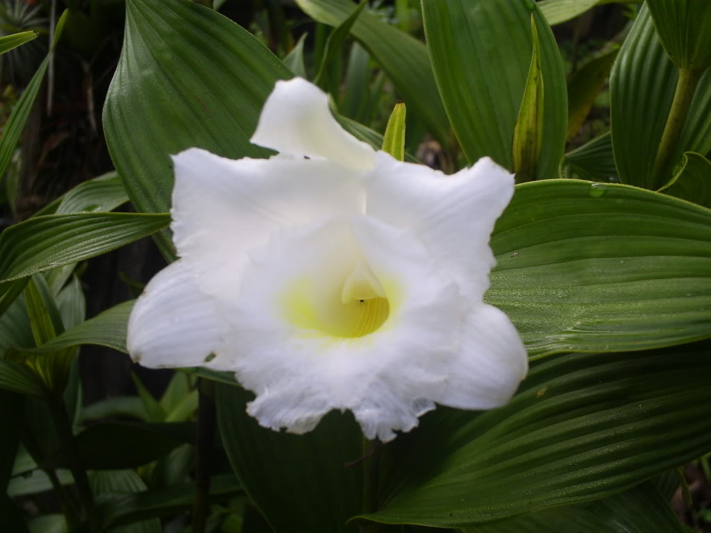 S5035058.jpg