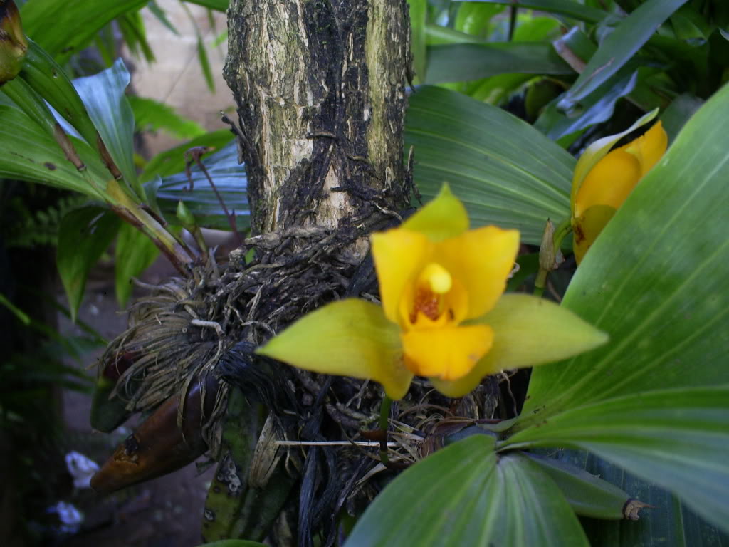 S5037112.jpg