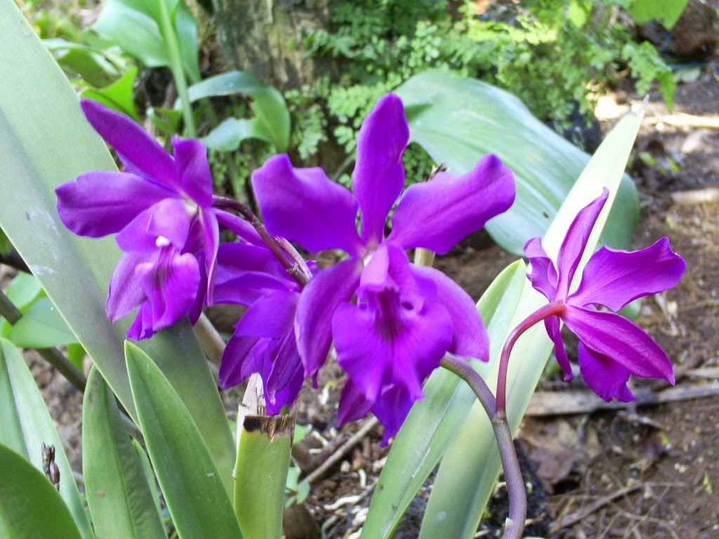 S5037115.jpg