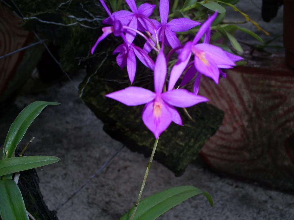 S5037247.jpg