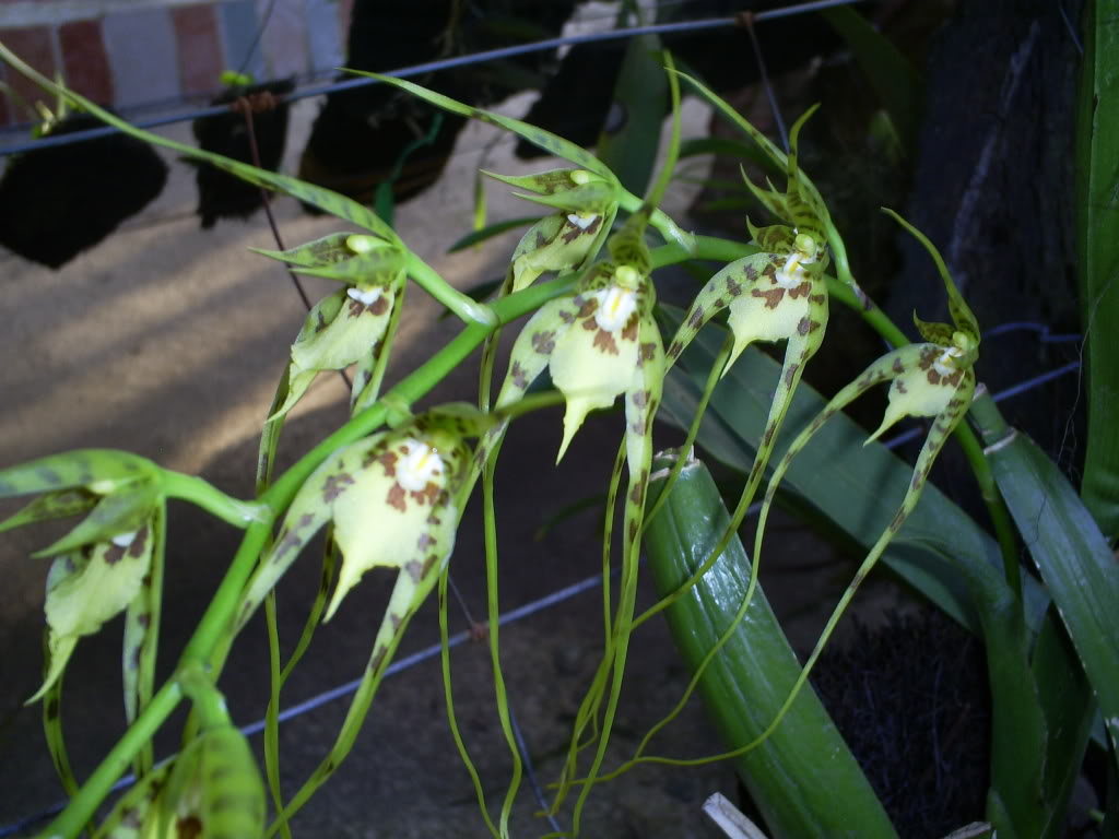 S5037259.jpg