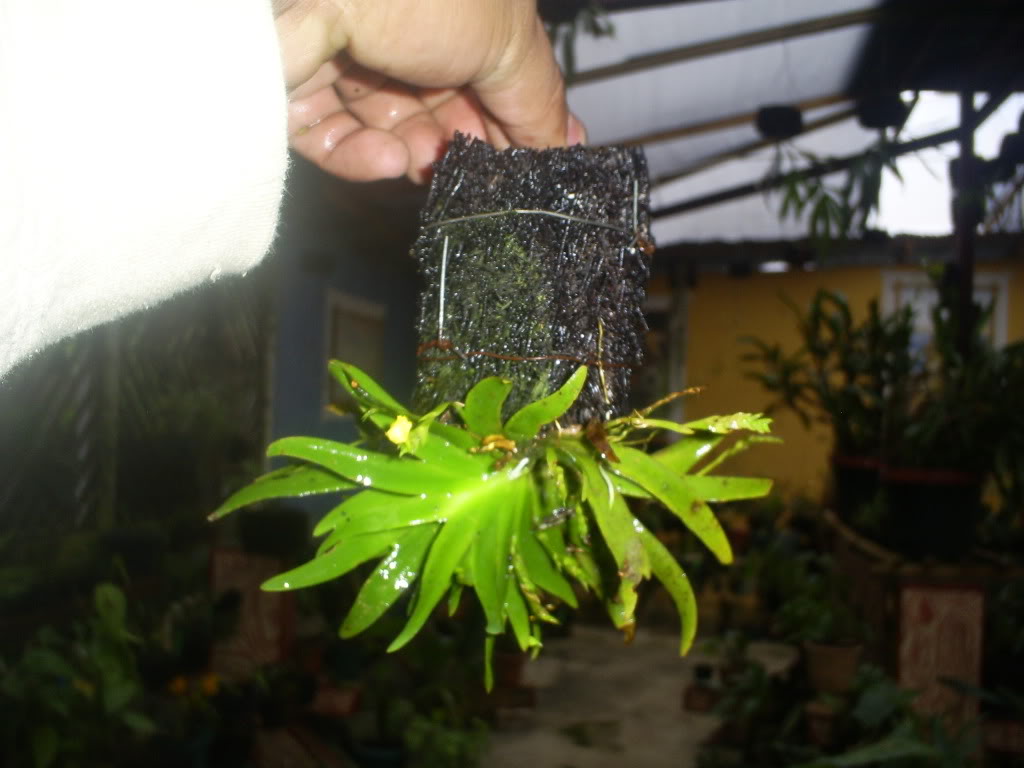 S5037598.jpg