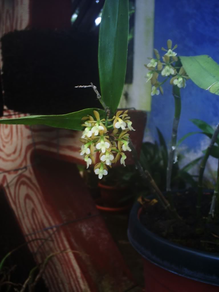 S5037670.jpg