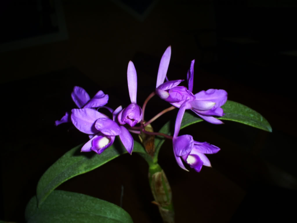 S5037690.jpg