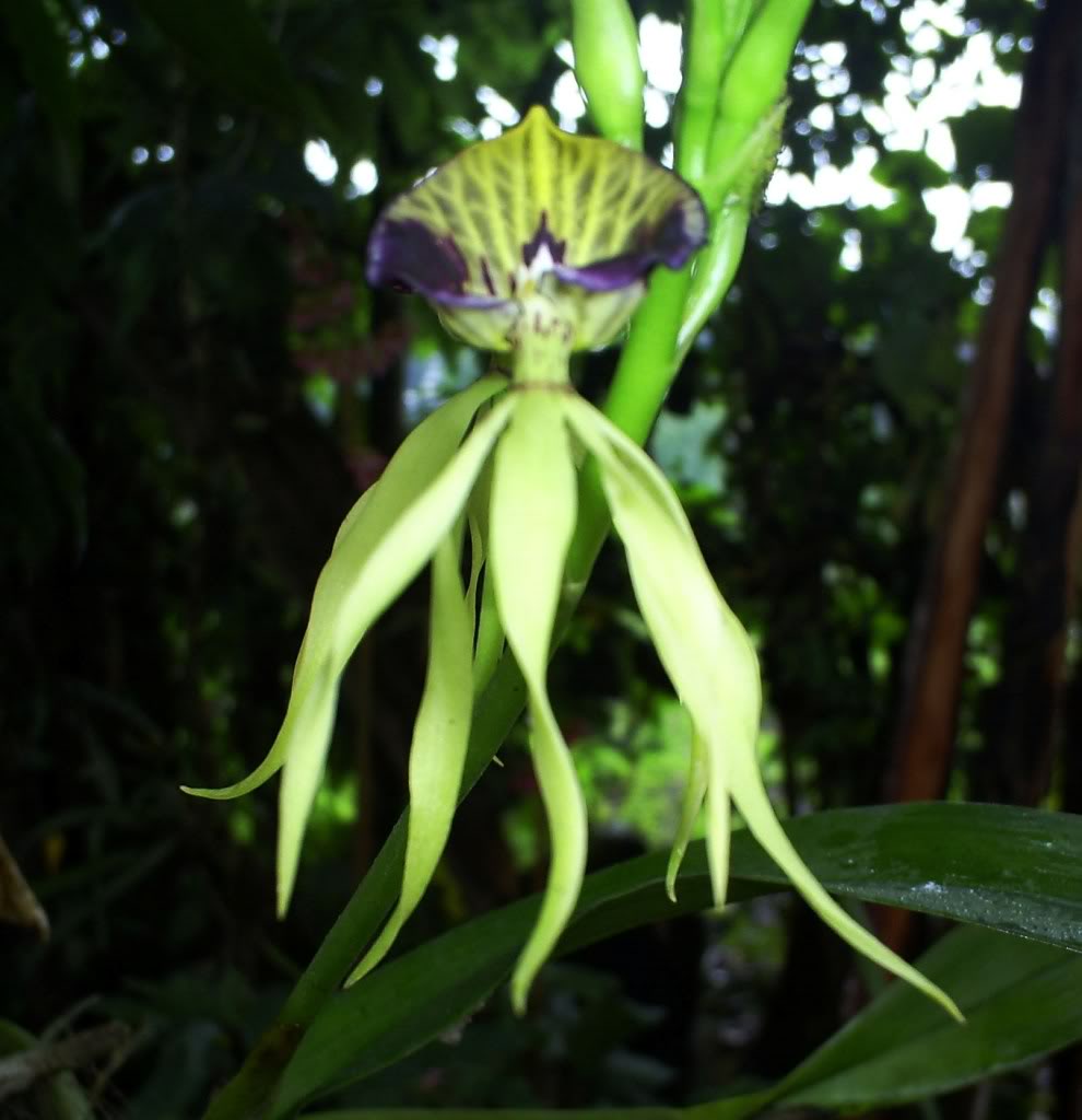 S5037697.jpg