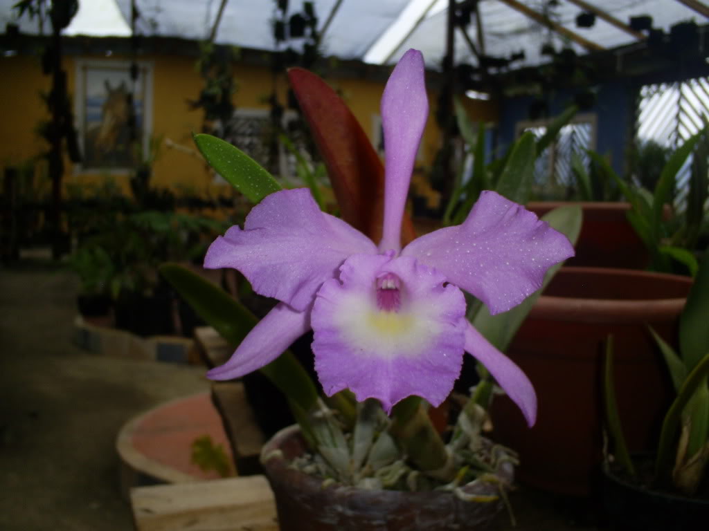 S5038098.jpg