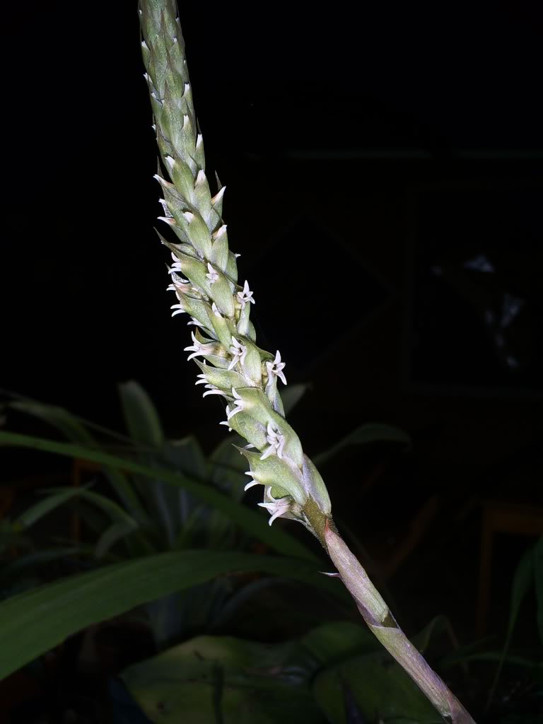 S5038104.jpg