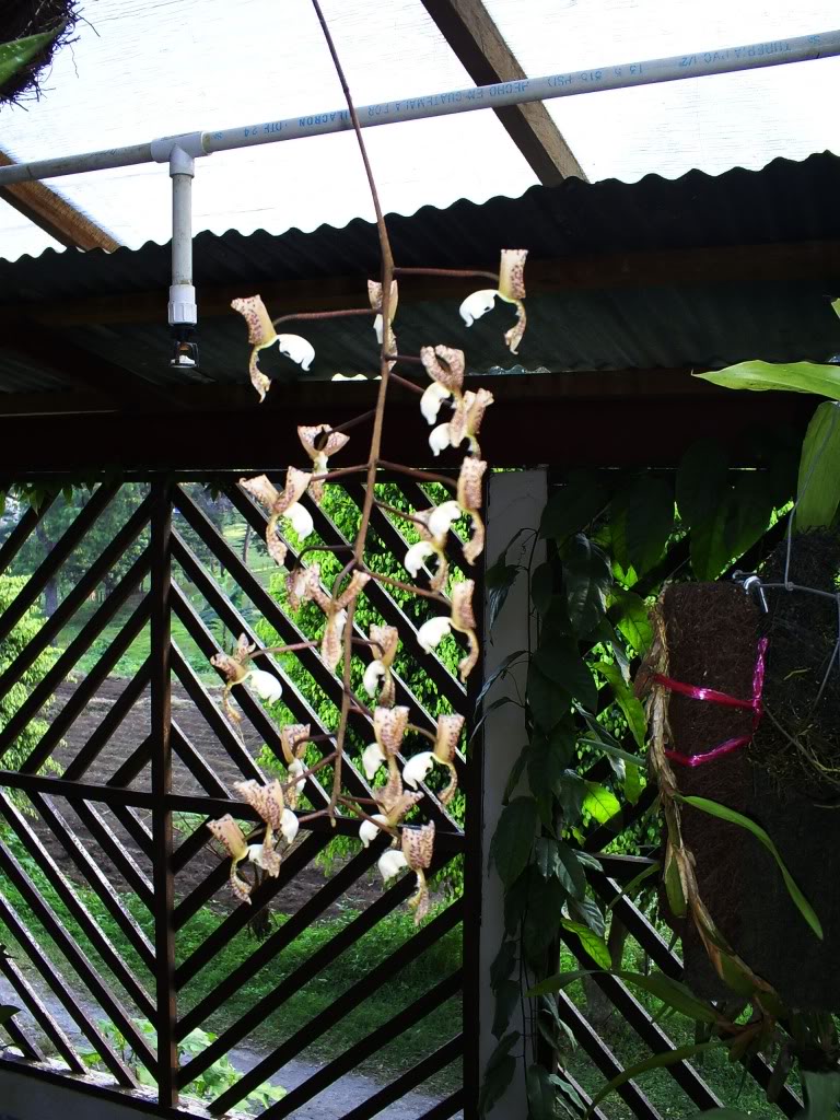 S5038458.jpg