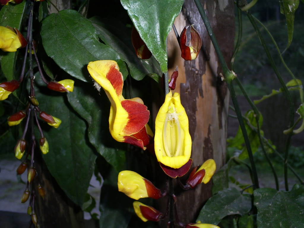 S5038494.jpg