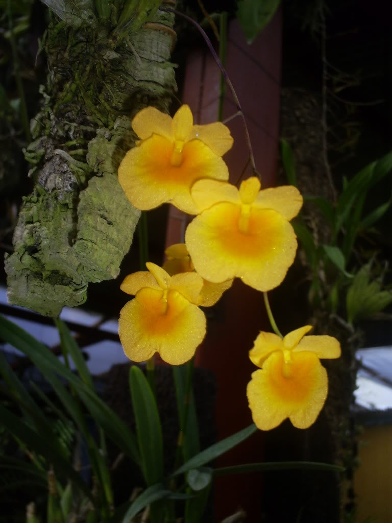 S5038848.jpg