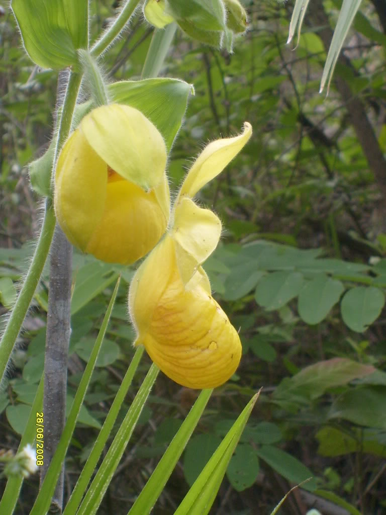 S6305799.jpg