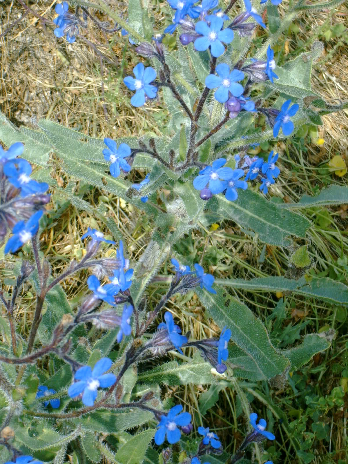 s6j51l.jpg