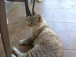S7301219.JPG