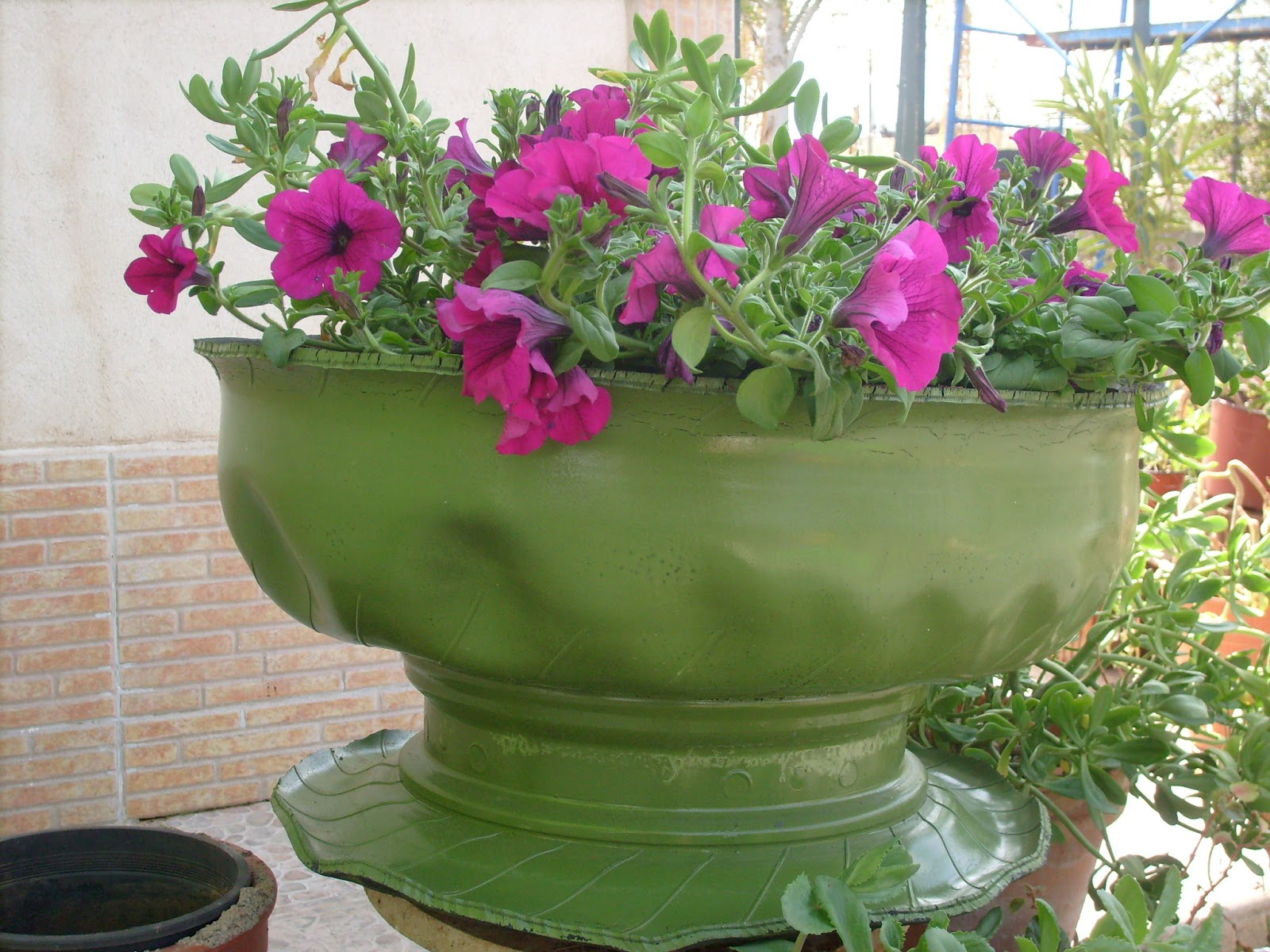 S7301309.JPG