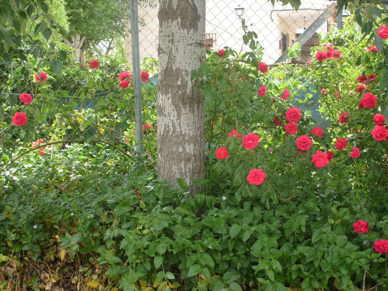 S7301464.JPG
