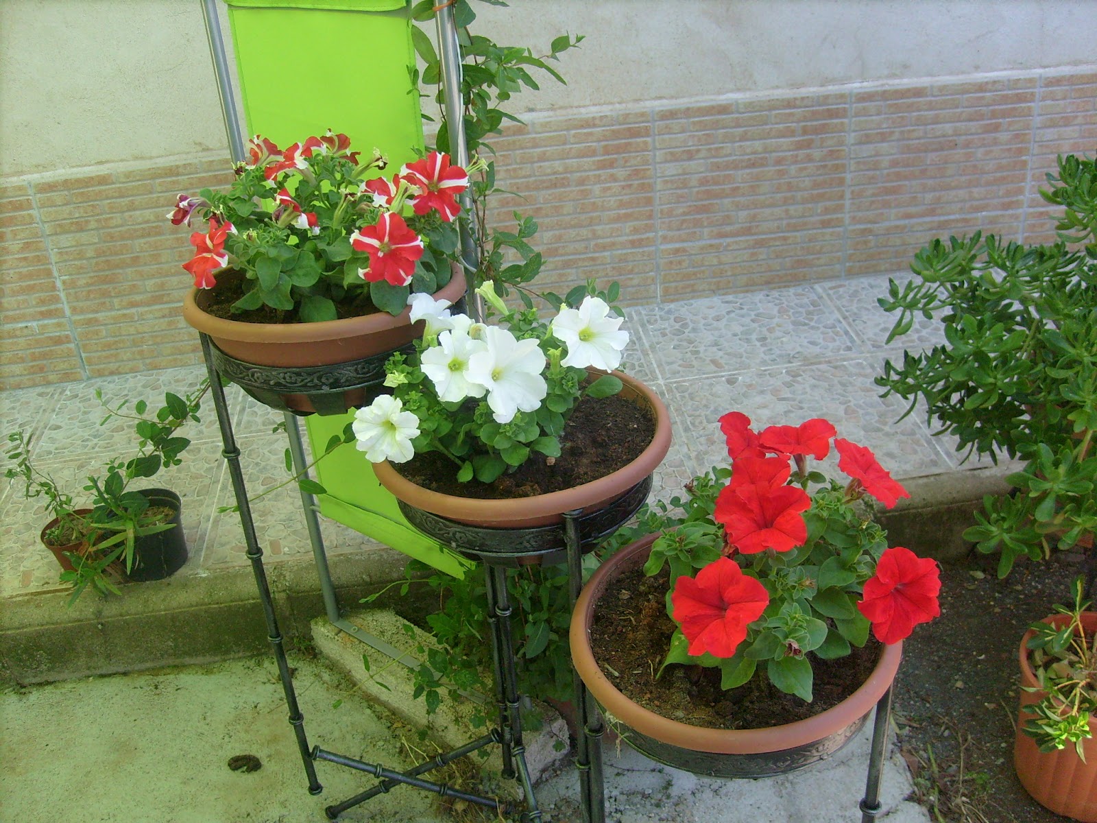S7301545.JPG