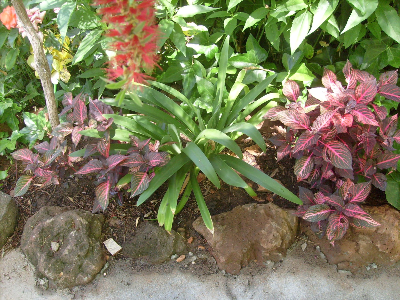 S7301557.JPG