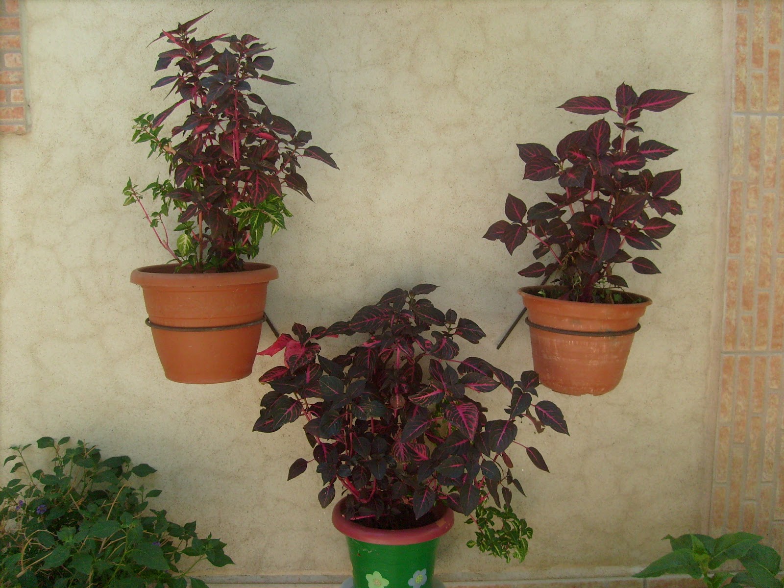 S7301558.JPG