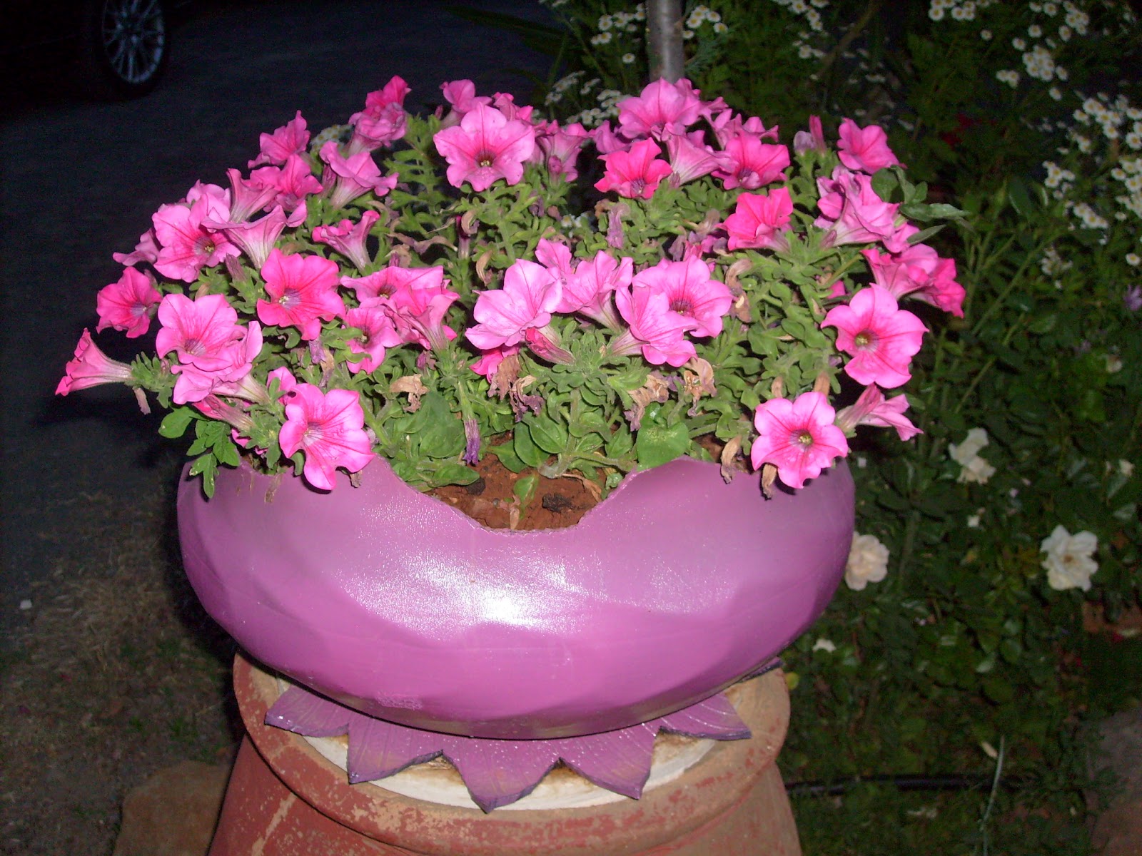 S7301570.JPG