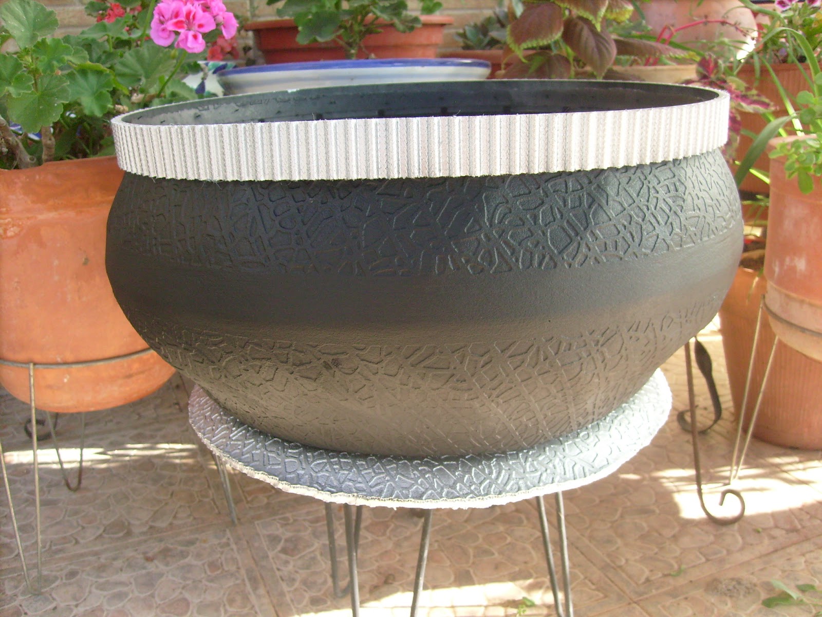 S7301590.JPG