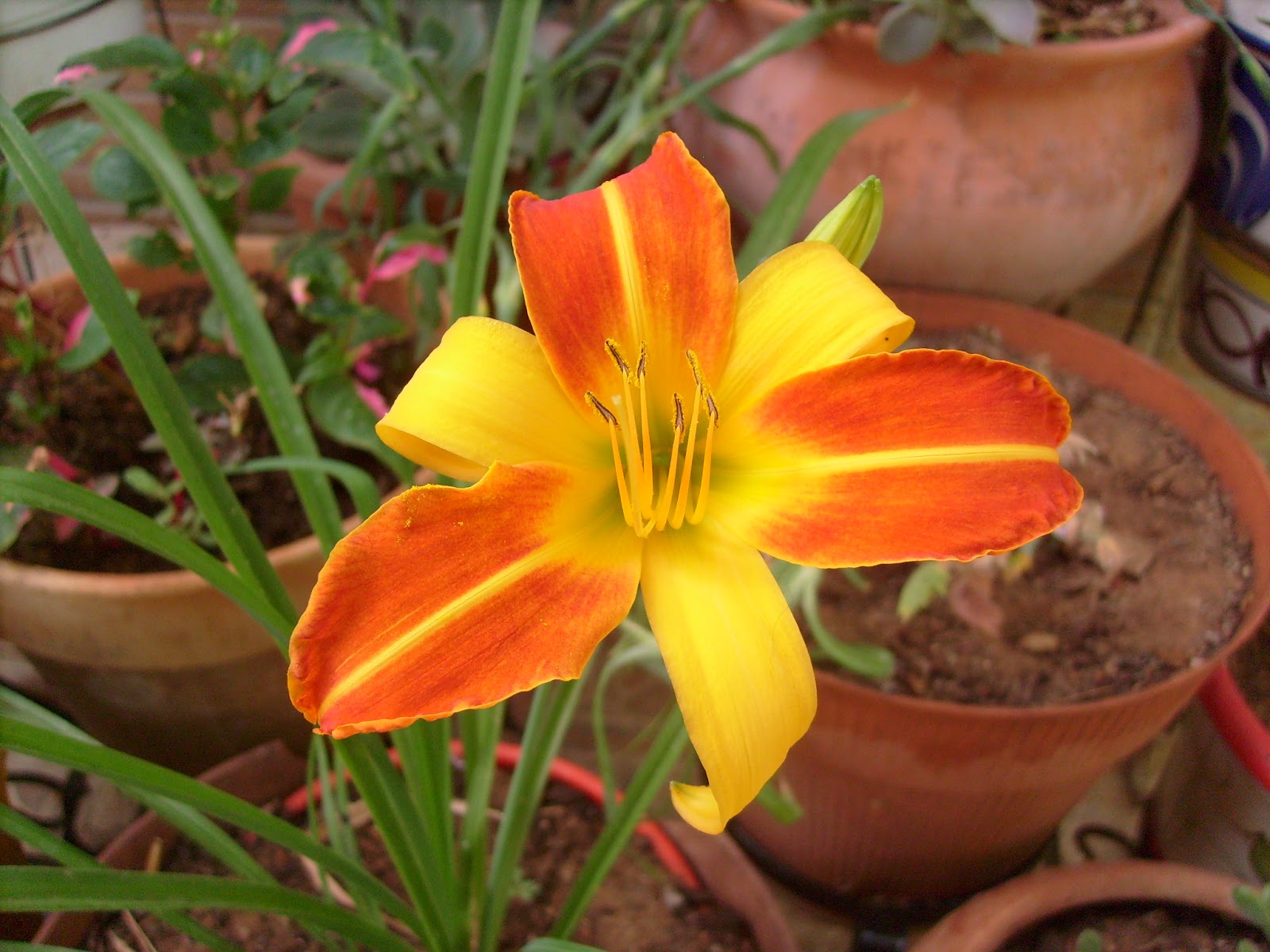 S7301619.JPG