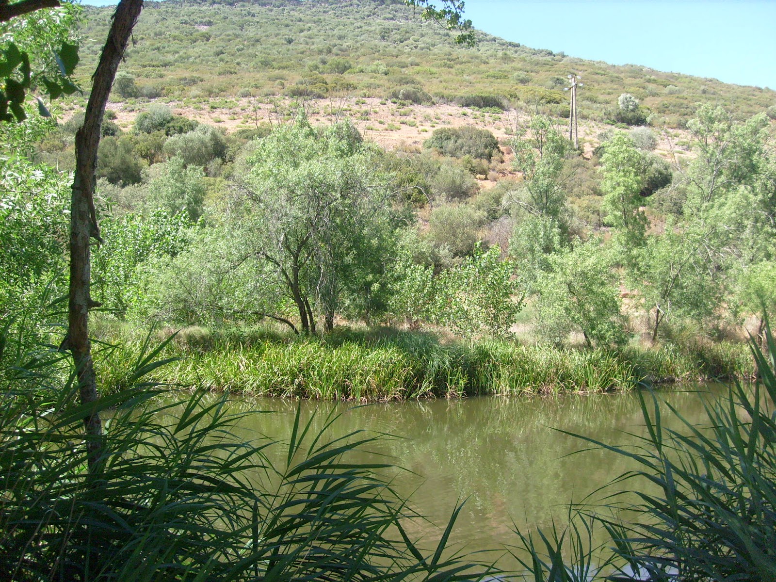 S7301628.JPG