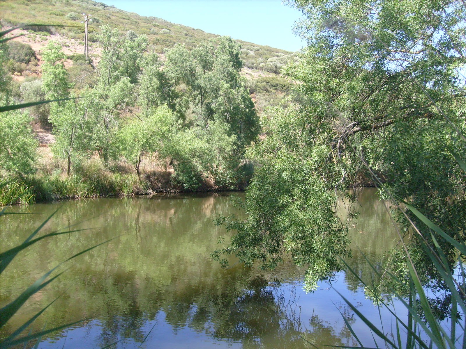 S7301630.JPG