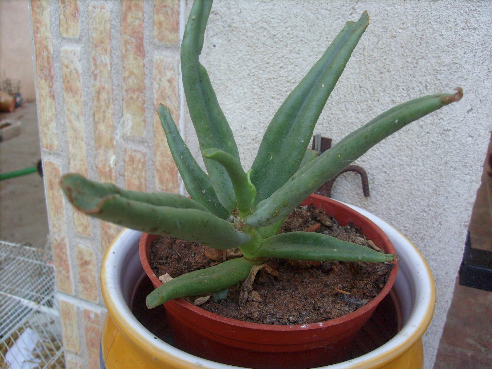 S7301631.JPG