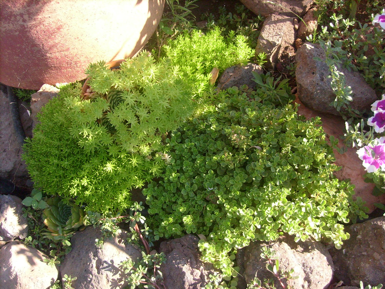 S7301656.JPG