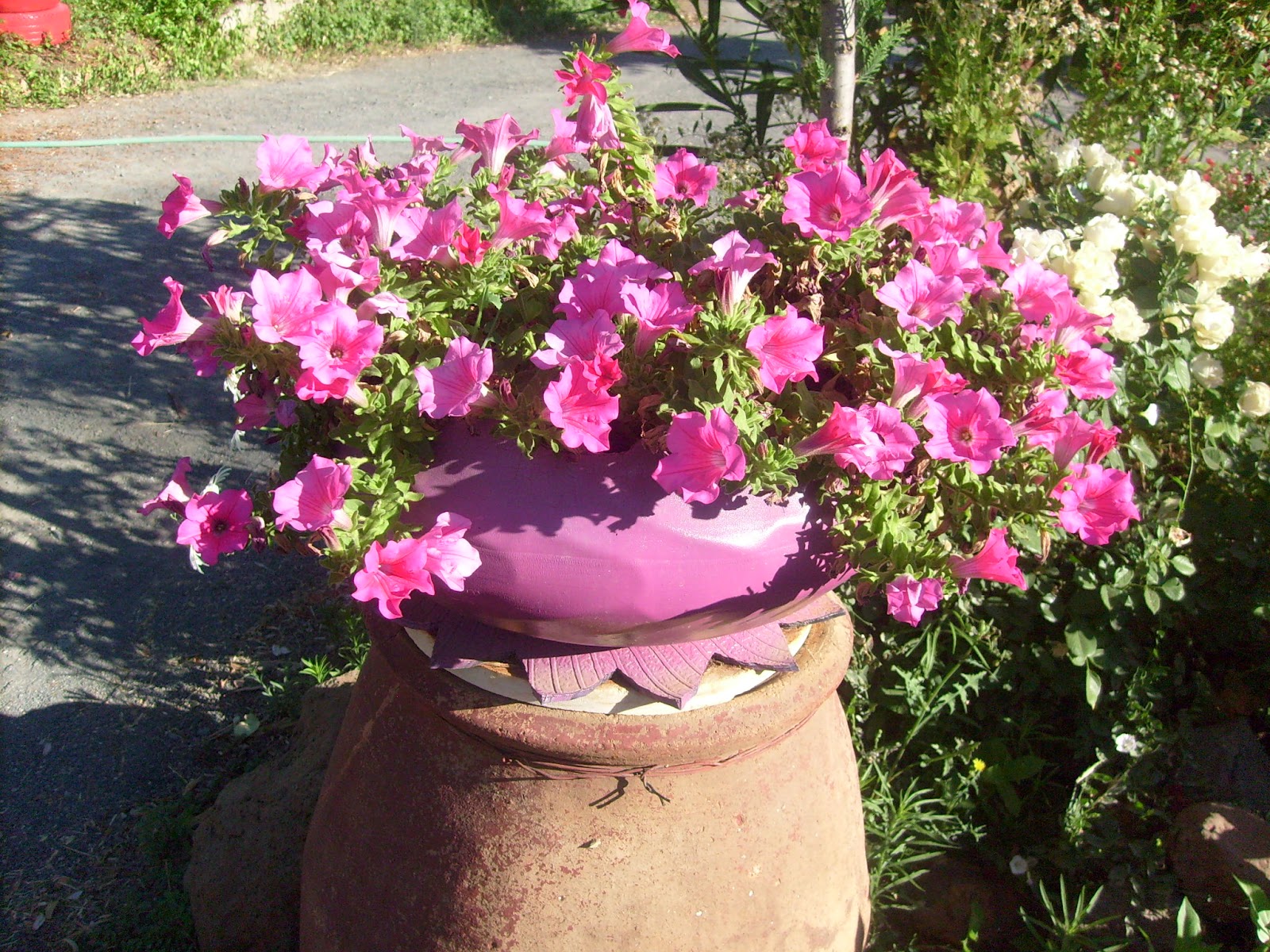 S7301657.JPG