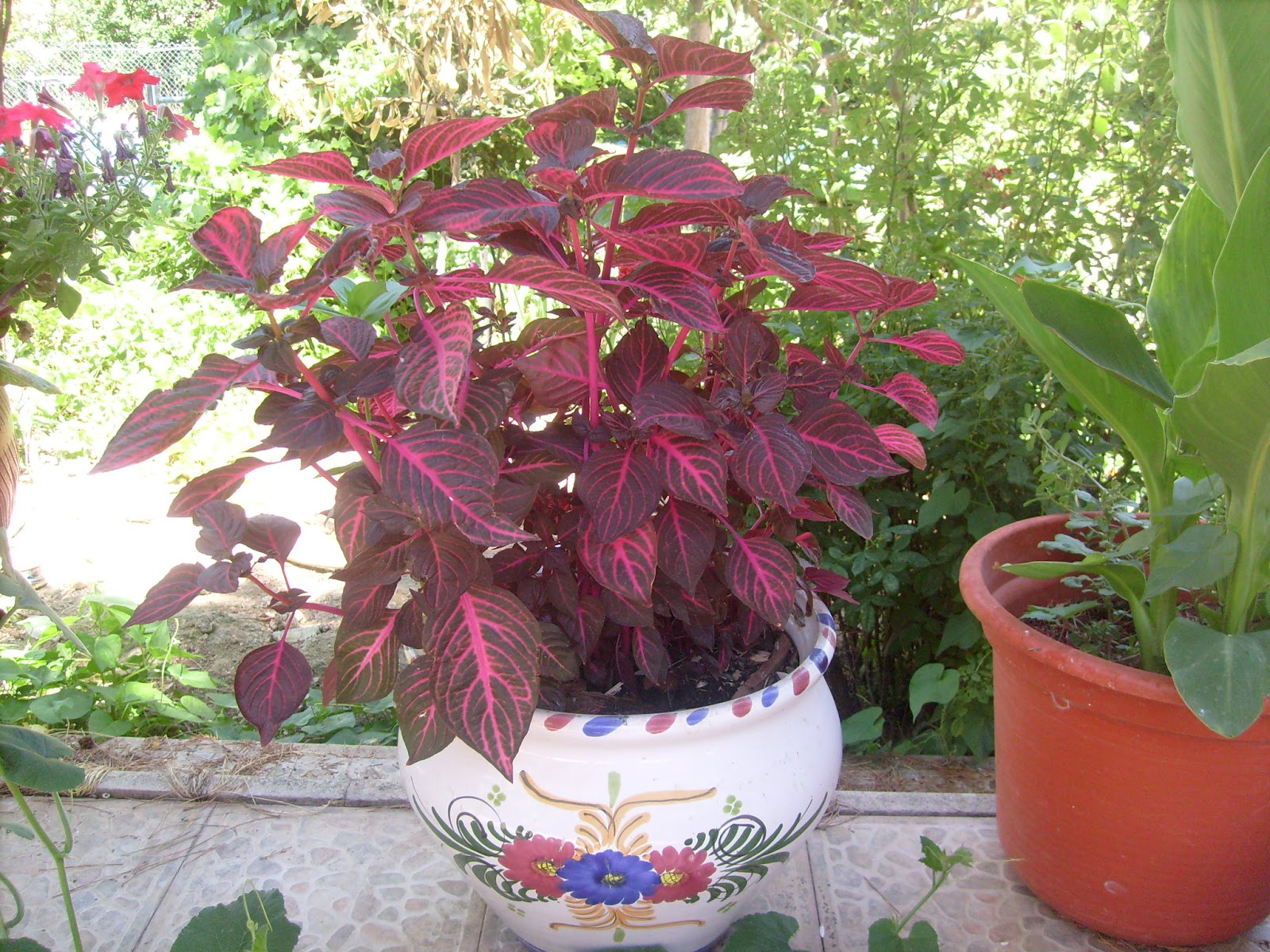 S7301661.JPG