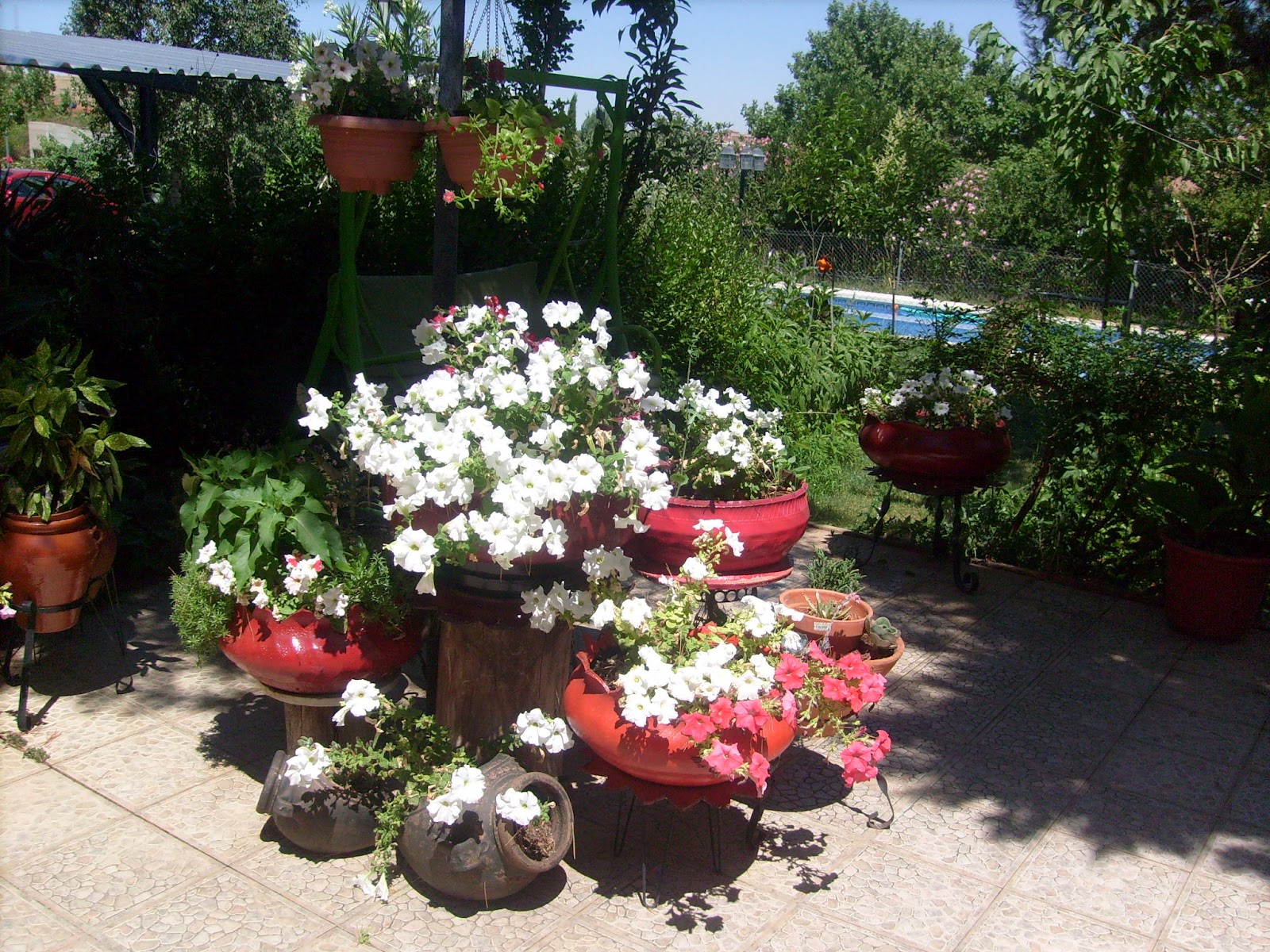 S7301667.JPG