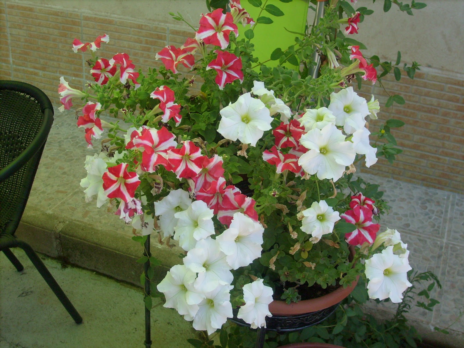 S7301676.JPG