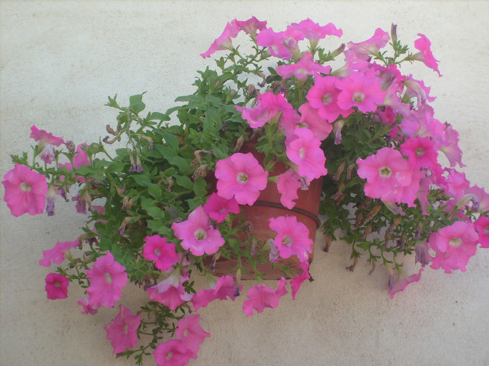 S7301677.JPG