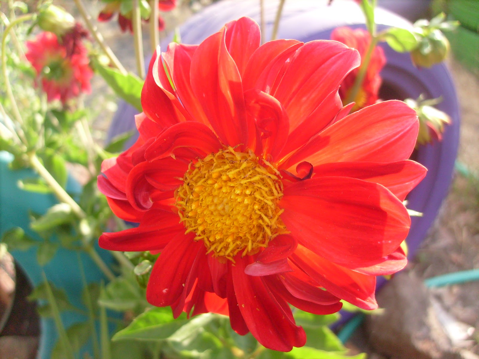 S7301690.JPG