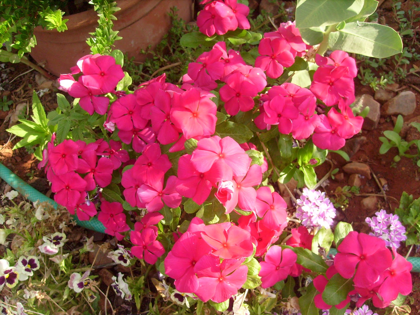 S7301691.JPG