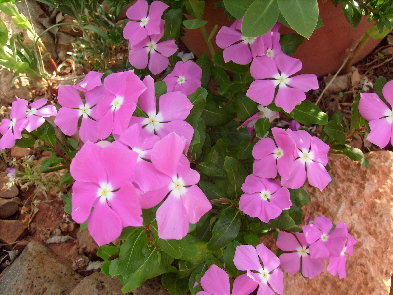 S7301692.JPG