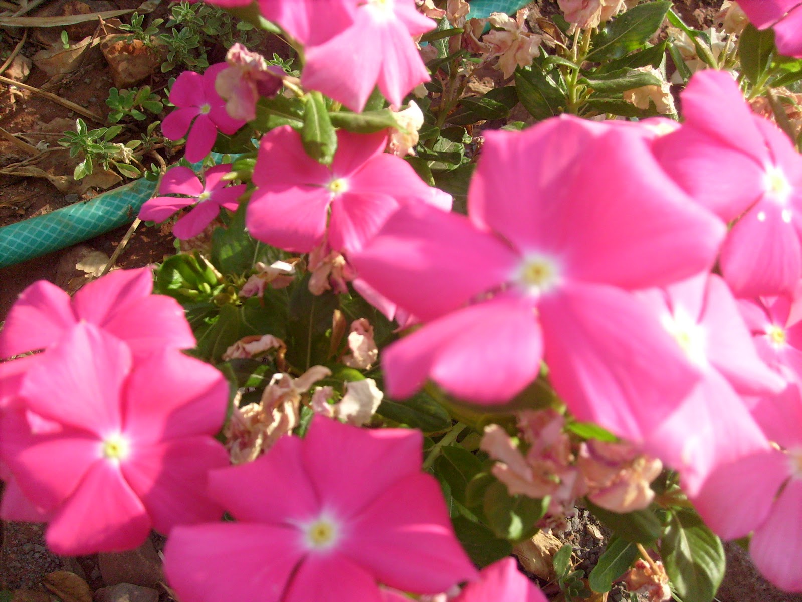 S7301693.JPG