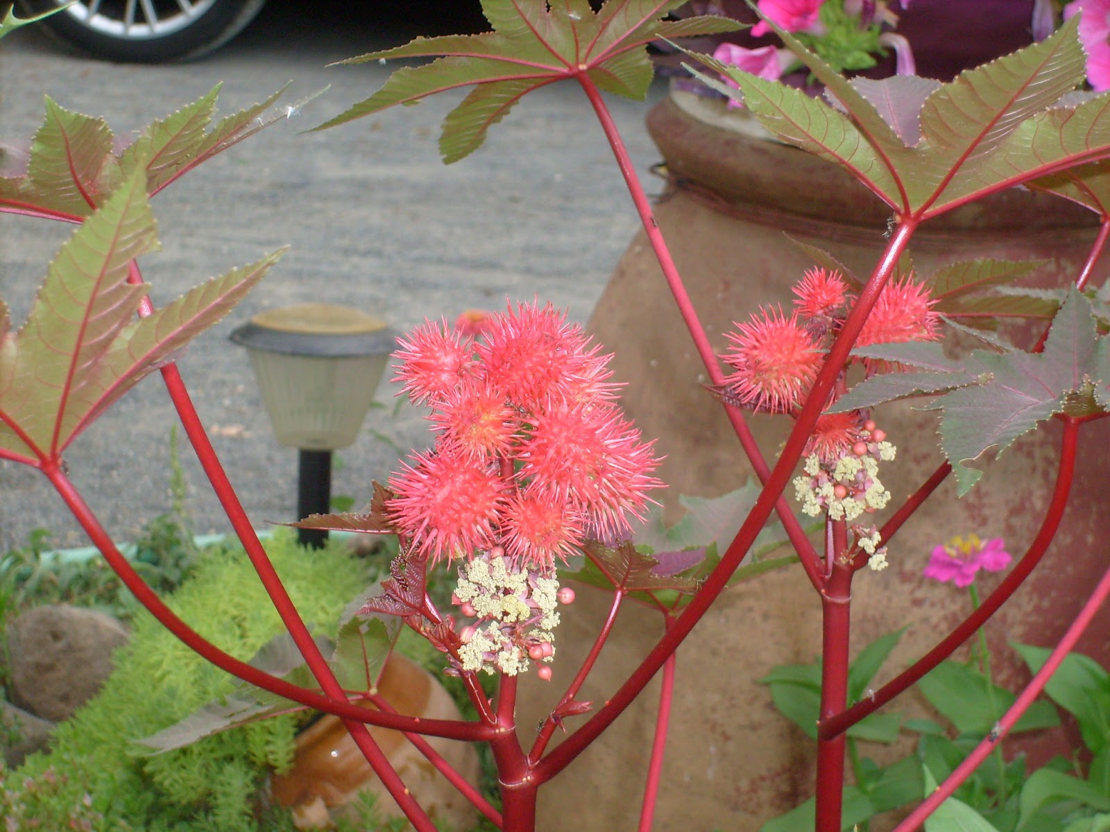 S7301698.JPG